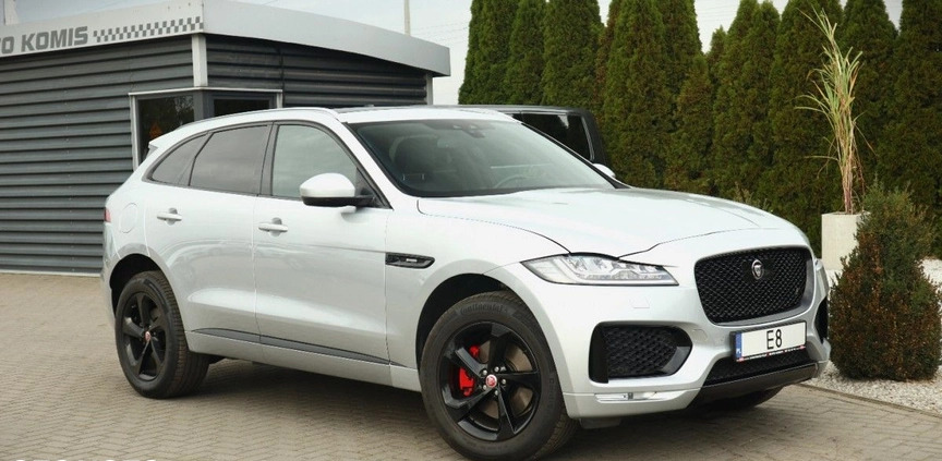 Jaguar F-Pace cena 149900 przebieg: 7000, rok produkcji 2017 z Słupca małe 631